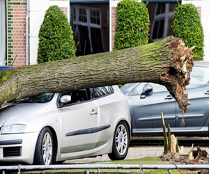   مصر اليوم - العواصف توقع ثاني قتيل في بريطانيا