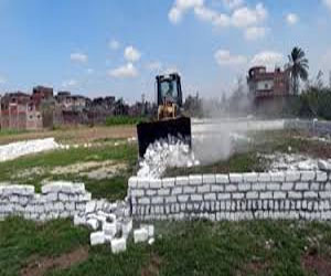   مصر اليوم - مليون حالة تعد على الرقعة الزراعية في مصر منذ 2011