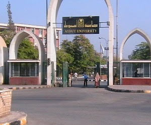   مصر اليوم - الاحتفال بتخريج 230 ممرِّضة في مستشفيات أسيوط الجامعيَّة