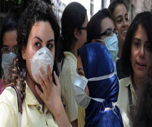   مصر اليوم - إكتشاف بؤرة لأنفلونزا الطيور في مدينة الفيوم