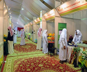   مصر اليوم - مهرجان نجران الوطني للحمضيات يستقطب 22شركة زراعية