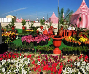   مصر اليوم - مهرجان الحدائق والنباتات الـ 16في الجبيل الصناعية الأربعاء