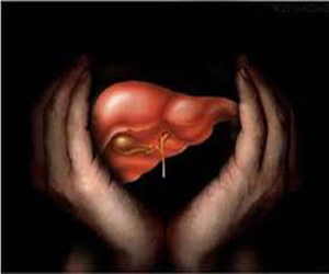 مصر اليوم - ورشة في سوهاج للتَّوعية بمرض الالتهاب الكبديّ