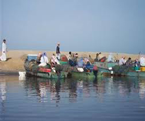   مصر اليوم - ضبط كمّيَّة من الأسماك الممنوع صيدها قبل تهريبها من الغردقة
