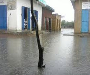   مصر اليوم - المياه تُحاصر عددًا من منازل قرية التلين في الشرقيّة