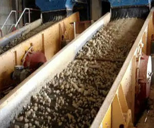   مصر اليوم - تراجع كبير لإنتاج تونس من الفوسفات