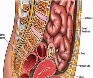   مصر اليوم - تعرف علي بعض الأطعمة الضارة وخطورتها علي صحتك