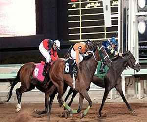 مصر اليوم - نادي الفروسية في جدة يقيم حفل سباقه الـ16 الأربعاء المقبل