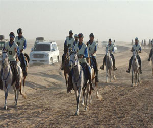 مصر اليوم - إطلاق مهرجان بن زايد الثامن للفروسية في أبوظبي