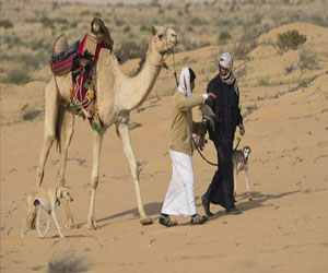 مصر اليوم - إنطلاق منافسات المجموعة الأخيرة في القلايل