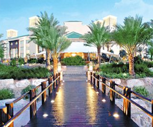   مصر اليوم - أبوظبي تشكل لجنة لتطوير قطاع السياحة في العين