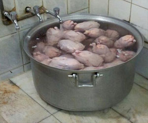   مصر اليوم - أمانة الرياض تصادر 210 كجم من اللحوم والأسماك والدواجن الفاسدة