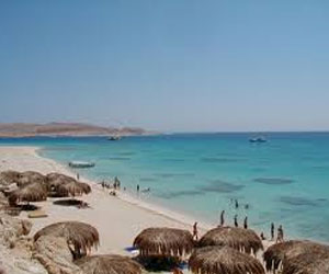   مصر اليوم - الغردقة تستقبل 10 آلاف سائح من جنسيَّات مختلفة اليوم