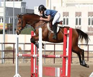 مصر اليوم - فرسان تبوك يتنافسون على 9 بطاقات لنهائي دوري بدربن