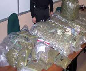   مصر اليوم - القبض على مروج للمخدرات بحوزته 100 كيلوجرام من البانجو في الإسماعيلية