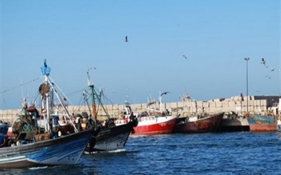   مصر اليوم - أزمات الصيّادين المصريّين تتزايد في المياه الإقليميّة رغم تحذيرات وزارة الخارجيّة