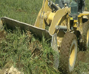   مصر اليوم - مباحث مركز سوهاج تزيل 32 فدانًا مزروعة تروى بمياه الصرف الصحي