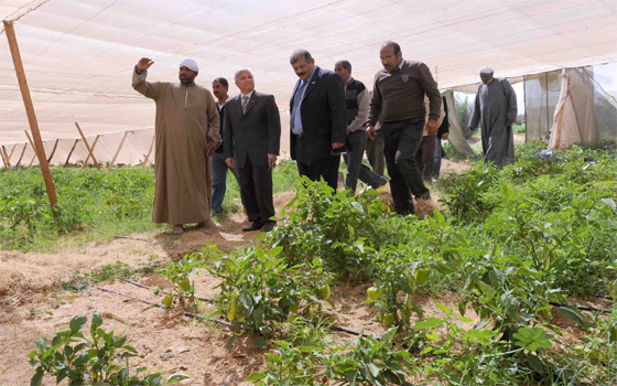 مصر اليوم - خطَّة لاستغلال الأراضي في مشاريع زراعيَّة وتسهيلات للمستثمرين في الأقصر