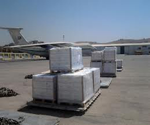   مصر اليوم - مصر تمنح الكونغو شحنة أدوية في إطار تعزيز علاقاتها الأفريقيّة