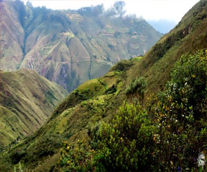   مصر اليوم - دراسة : الحياة على الأرض حتي مع قلة الأكسجين