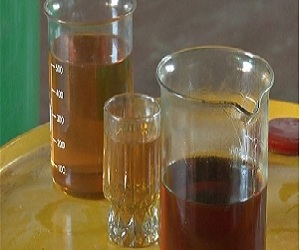   مصر اليوم - باحثة مصرية تقوم بتحويل زيوت الطعام المستهلَكة إلى وقود حيوي