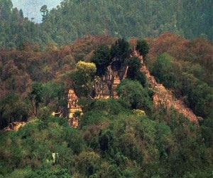   مصر اليوم - تغيُّر المناخ كشف عن غابات تعود لالآف السنين في بريطانيا