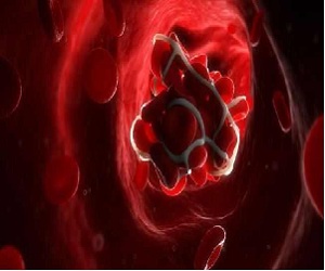   مصر اليوم - مركز معلومات الدواء في صحة تبوك يحذر من جلطات الكمبيوتر