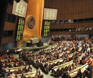   مصر اليوم - الأمم المتحدة تعتبر عام 2014 عامًا لمعرفة علم المادة والحياة