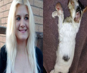   مصر اليوم - محاكمة امرأة عاقبت هرة بوضعها فى المايكرويف لخمس دقائق