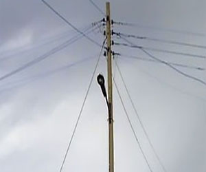   مصر اليوم - الكهرباء تستعين بالشرطة لتركيب 36 عمود إنارة جنوب الأقصر