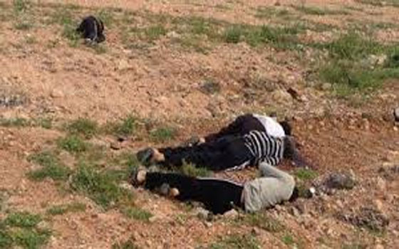   مصر اليوم - المتحدِّث العسكري يُعلن تصديق السيسي على نقل جثامين ليبيا لسوهاج بطائرة عسكريَّة