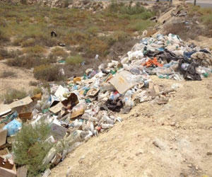   مصر اليوم - الاهمال البيئي يكبد العالم خسائر من 350 الى 500 مليار دولار