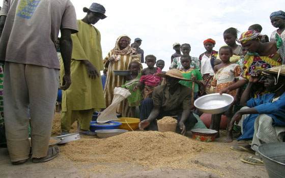   مصر اليوم - فاو تعلن أن 10% من سكَّان الشَّرق الأوسط وشمال أفريقيا يعانون أزمة غذاء