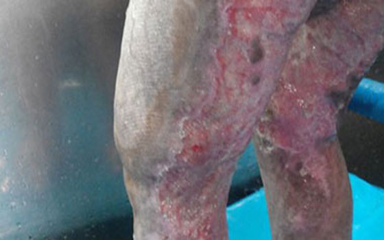   مصر اليوم - مصر اليوم تفتح ملف إهمال دور رعاية الأطفال في مصر