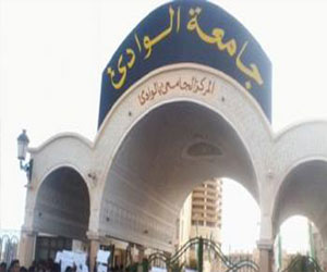 مصر اليوم - جامعة جنوب الوادي تقرر إنشاء كلية للدراسات العليا والبحوث