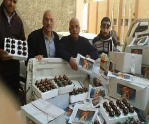 مصر اليوم - ضبط مصنع بدون ترخيص لتعبئة الأدوية البيطرية في البحيرة