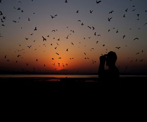 مصر اليوم - تونس تعتمد على ملكات جمال من فرنسا للترويج لقطاعها السياحي