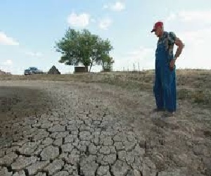   مصر اليوم - ماليزيا وسنغافورة تعانيان من موجة جفاف أثرت على الزراعة والثروة السمكية