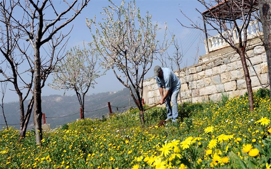 مصر اليوم - جفاف خميرة الأرض يهدّد الزراعات الجبلية