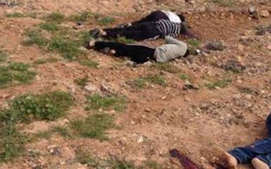   مصر اليوم - الحسانين يستنكر موقف الحكومة من حادث مقتل المصريين السَّبعة في ليبيا