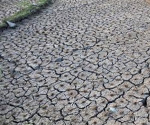 مصر اليوم - موجة جفاف تضرب ماليزيا وسنغافورة