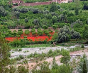   مصر اليوم - أوريّكا جوهرّة طبيعيّة في قلّب جبّال مراكش