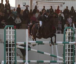   مصر اليوم - بطولة ناصر بن حمد لقفز الحواجز تنطلق السبت