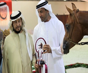   مصر اليوم - ختام البطولة الأولى للمربين العرب لجمال الخيل في أبو ظبي