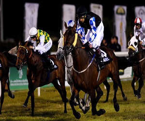   مصر اليوم - مربط عذبة يحقق الشوط الرئيسي بسباقات الفروسية في العين