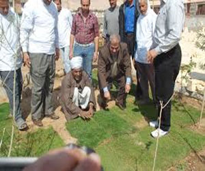   مصر اليوم - الشباب والرياضة ترعى الأسبوع البيئيّ السادس في قنا