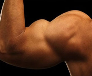   مصر اليوم - تحويل خيوط شبكة الصيد الرفيعة إلى عضلات صناعية