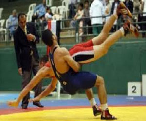   مصر اليوم - الشباب والرياضة تنظم المهرجان الختامي لتقييم المشروع القومي للناشئين