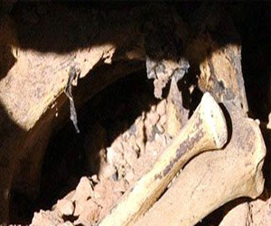   مصر اليوم - الهند تعثر على رفات متمردين أثناء الثورة ضد بريطانيا عام 1957