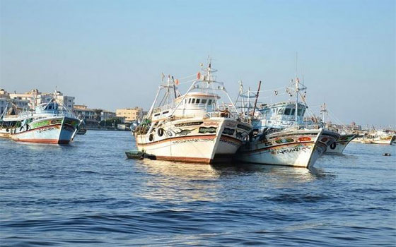   مصر اليوم - الإفراج عن 57 صيادًا مصريًا دخلوا المياه الإقليمية السعوديَّة